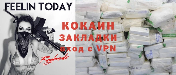 ПСИЛОЦИБИНОВЫЕ ГРИБЫ Бородино