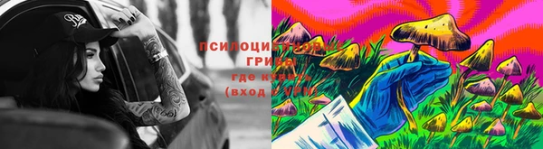 спиды Бугульма