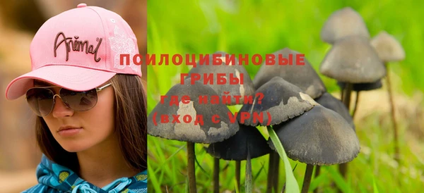 спиды Бугульма