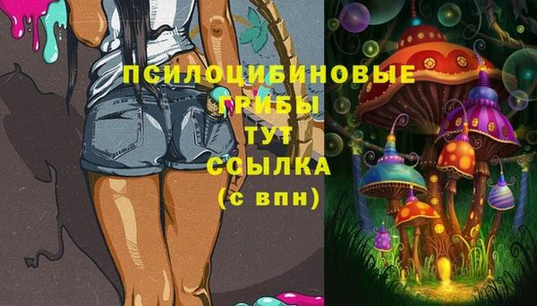 ПСИЛОЦИБИНОВЫЕ ГРИБЫ Бородино